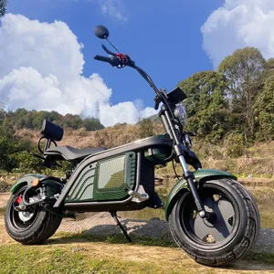 Citycoco/Scrooser Nhà Máy Giá 800 Wát Siêu Giá Rẻ Điện Cho Người Lớn Electric Scooter,Folding Xách Tay Electric Scooter Electro C