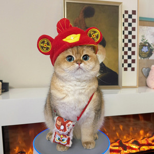 Sombrero de Año Nuevo para mascotas, Dios de la Riqueza, diadema para perros y gatos, saludos festivos de Año Nuevo, sombrero de disfraz con forma de lingote, accesorio para la cabeza para perros pequeños - Product Image 3