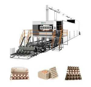 Máquina de bandeja de ovos automática do alveoles, bandeja termoformada da caixa do ovo, máquina rotativa