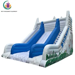 आउटडोर खेल का मैदान Inflatable पानी स्लाइड पूल वयस्क के लिए विशाल Inflatable स्लाइड Inflatable स्लाइड के लिए गर्मियों