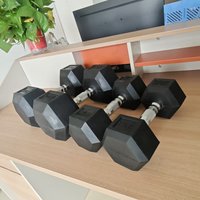 Haltères hexagonaux en fonte revêtus, en stock, équipement de gym, logo personnalisé, équipement sportif pour la maison