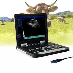 Ecógrafo Obstétrico Veterinario, Escáner de Ultrasonido Digital Completo con Sonda Convexa - Product Image 1