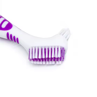 Brosse à prothèses en plastique OEM à double tête colorée en nylon dur
