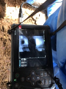 EUR VET Prix bas Machine à ultrasons portable pour le diagnostic vétérinaire, pour les moutons, les cochons, les chats et les chiens. - Product Image 5