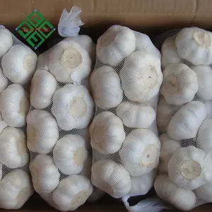 Garlic Alho Fresco Factory Pure White Fresh Garlic Price/ Bulk Garlic For Sale/ Garlic From China