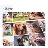 Tapis à gratter pour chat en sisal avec impression personnalisée de couleur, style dessin animé, avec cadre photo, emballage carton, toutes saisons