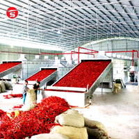 Ligne de production de séchage automatique de poivrons et de piments de 30 tonnes de capacité pour la transformation alimentaire