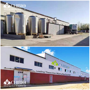 อาหารเกรดผู้ผลิตอุปทาน EPA <span class=keywords><strong>DHA</strong></span> โอเมก้า<span class=keywords><strong>3</strong></span>น้ำมันปลาผงเพื่อสุขภาพสมอง - Product Image 5