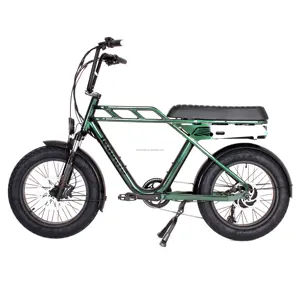 Ebike 공장 도매 20 인치 뚱뚱한 타이어 전기 자전거 슈퍼 자전거 가격 73 성인 500W 750W 전기 지방 자전거