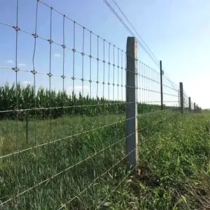 Barato 4ft 5ft 6ft 8ft Altura Pastagem Galvanizado Pastagem Guarda Campo Agrícola Cabra Gado Sheep Farm Fence