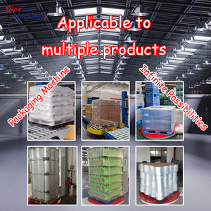 Máquina Automática para Apilar y Envolver Palés, Paletizador, Fabricantes de Máquinas para Empaquetar con Envoltura de Palés - Product Image 6