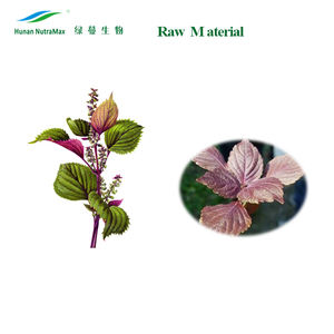 Экстракт порошка периллы, экстракт шалфея, 98% Sclareolide/Sclareol, Урсоловая Кислота, масло шалфея - Product Image 2