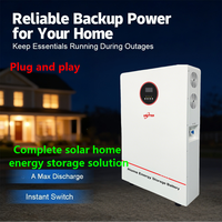 Stock UE Système de stockage d'énergie domestique tout-en-un avec batterie au lithium 51.2V 5KWH 10kwh, onduleur 5KW intégré, Power Wall, solaire, LiFePO4, CAN