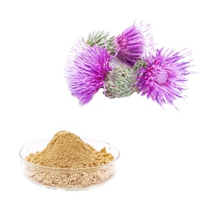 100% tự nhiên chất lượng tốt chiết xuất cây kế sữa 30% silybin 80% Silymarin bột - Product Image 1