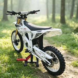 Motocicleta EU Altis S para aventuras al aire libre, ideal para viajes continuos de larga duración por el campo. - Product Image 3