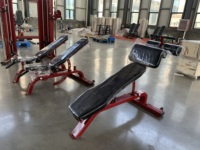 Équipement de musculation professionnel à usage commercial, banc inclinable réglable pour exercices avec poids libres, machine de musculation pour la musculation