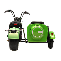 Scooter à trois roues Citycoco 2000W 60V 30AH avec batterie, 50 km/h, GPS, pliable, étanche, avec side-car pour chien