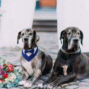 Tanpopo Collier pour <span class=keywords><strong>chien</strong></span> Bandana Écharpe <span class=keywords><strong>Noeud</strong></span> <span class=keywords><strong>papillon</strong></span> Bavoir formel Vêtements élégants Accessoire de costume Mariages et occasions spéciales Collier pour animaux de compagnie - Product Image 5
