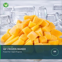 XMSD IQF Mangga Beku Potong Dadu dalam Kemasan Massal untuk Aplikasi Potongan Buah yang Terlihat dan Pengolahan Lanjutan