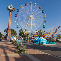 Parc de foire manèges équipement de parc d'attractions touristique extérieur 30m grande roue à vendre