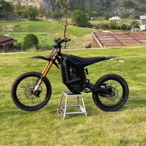 <span class=keywords><strong>Moto</strong></span> tout-terrain électrique professionnelle Arctic Leopard Cloud Leopard XE PRO S, directement de l'usine, 96 km/h, 72V35Ah - Product Image 2