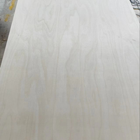 Contrachapado de Abedul 4x8 12mm, Núcleo 100% Abedul, Impermeable, Certificado E0/CE/ISO, Chapa de Abedul para Muebles de Taller, Venta al por Mayor