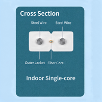 Kabel Patchcord Fiber Optik Indoor HAILE, Tipe Flat Bow, Self-support, Toneable, Konduktor Solid G657A1, 50M, Kabel FTTH