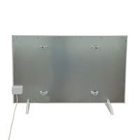Chauffage mural numérique intelligent WIFI 7*24h avec protection contre la surchauffe C031D 300*1000 300W Panneau radiant infrarouge à télécommande