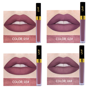 Venta al por mayor de la fábrica de alta calidad Privte etiqueta líquido lápiz labial mate brillo de labios maquillaje - Product Image 5