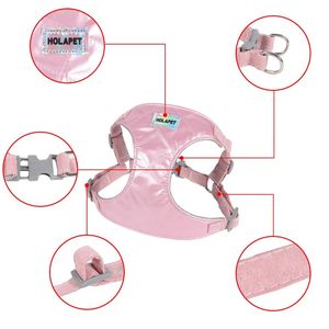 Ensemble de <span class=keywords><strong>harnais</strong></span> <span class=keywords><strong>pour</strong></span> petits chiens imperméable et respirant <span class=keywords><strong>pour</strong></span> chiots et chats gilet <span class=keywords><strong>harnais</strong></span> de marche <span class=keywords><strong>Yorkshire</strong></span> carlin laisse laisse <span class=keywords><strong>pour</strong></span> animaux de compagnie - Product Image 2