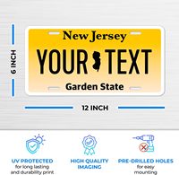 Logo personnalisé à bas prix plaque d'immatriculation de voiture moto vierge New Jersey