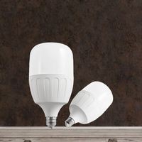 Bombillas LED A19 E26/E27 B22 T60 T70 T80 T100 T115 en Forma de T para Uso en Almacenes, Gran Venta