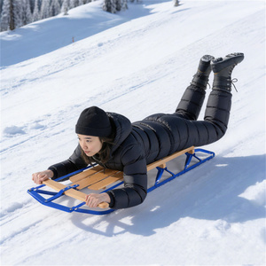 Trineo Clásico de Invierno, Doble Uso, para Sentarse o Acostarse, con Barra de Dirección Preperforada - Product Image 3
