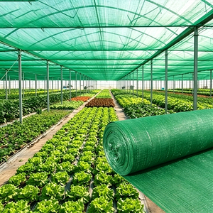 <span class=keywords><strong>Malla</strong></span> de Jardinería de PE Negra al 80%, Velas y Redes de Sombra para Invernaderos, Tela de Sombra para Invernaderos, Jardines y Agricultura - Product Image 5