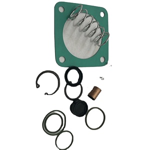 Kit de réparation de soupape d'admission en métal Manny 2901029800 - Product Image 1