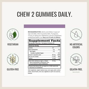 Gummies <span class=keywords><strong>DHA</strong></span> de bayas de saúco sin azúcar Suplemento de vitaminas y minerales inmunitarios para la salud cerebral No para mujeres embarazadas - Product Image 4