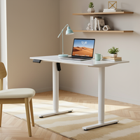 PRORIALS Bureau debout moderne en métal, réglable en hauteur, pour l'étude après l'école, coin lecture personnel, électrique à moteur unique
