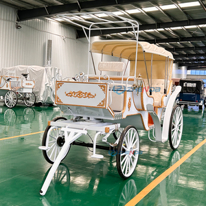 Chariot Équestre Électrique de Style Européen pour Parc d'Attractions, Visites Touristiques, Loisirs, Mariages et Cérémonies Royales - Product Image 4