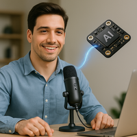 Microphone vocal à piles avec son cristallin, design cravate Plug & Play, fonction muet et serre-tête réglable pour TikTok