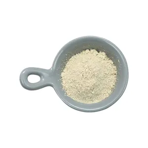 Suministro de polvo de ajo para alimentación animal Polvo de extracto de ajo de edad natural 1% 5% Extracto de ajo de alicina