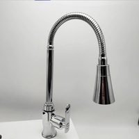 Stainless Steel Single Cold Water Bendable Colored Tube Dual Spray Kitchen Faucet for Deck Mounted Sink