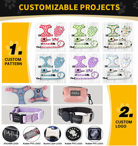 Arnés y Correa Personalizados para Mascota con Patrón de Bloques de Color Anti Tirones, Nombre y Logo de Neopreno Personalizado para Perro - Product Image 5