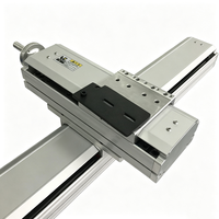 Module linéaire de haute précision avec actionneur à vis à billes, glissière CNC à double rail, adapté à la découpe laser automatisée