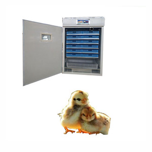 เครื่องฟักไข่แบบกำหนดเองรุ่นใหม่ล่าสุด 5000 ฟอง พร้อมราคาสุดคุ้ม - Product Image 2