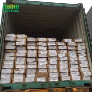 Высокого уровня безопасности от производителя, для защиты от подъема, настенные заборные шипы, ПВХ сталь с порошковым покрытием, горячее оцинкованное покрытие для ворот, ограждение фермы - Product Image 4