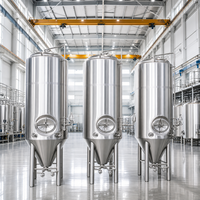 Équipement de brassage de bière Tonsen grande capacité 100HL 300HL, cuve de brassage à double enveloppe et cuve de fermentation pour brasserie industrielle