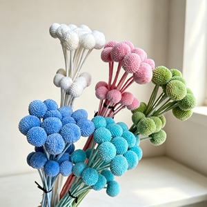 Fleurs séchées Billy Button, Craspedia boule dorée préservée pour arrangements <span class=keywords><strong>de</strong></span> fleurs séchées - Product Image 4