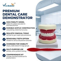 Modelo Dental de 32 Dientes con Aumento 5X, Apertura Bucal Ajustable y Cepillo para Prácticas de Limpieza Dental, CE ISO ROHS CNAS
