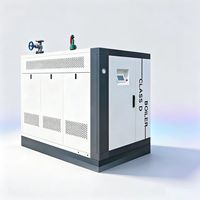 Chaudière à condensation basse pression à circulation naturelle de classe D PGS, à faibles émissions de NOx, pour gaz et vapeur, fonctionnement stable et fiable
