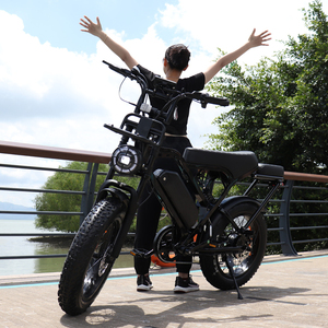 X80Pro Fatbike 20*4 Zoll 2-Sitzer E-Bike EU-Lager Mountainbike Offroad X80 Pro Ebike X80 Pro Fatbike V20 Doppelsitzer 250W - Product Image 2